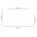 VidaXL Szklana płyta kominkowa przezroczysty 120 x 60 cm Szkło