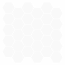 VidaXL Płytka heksagonalna 10 pcs Biały 30 x 30 cm Poliuretan i PET