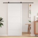 VidaXL Drzwi do stodoły Biały 100 x 2,5 x 208 cm Lite drewno sosnowe