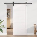 VidaXL Drzwi do stodoły Biały 100 x 2,5 x 208 cm Lite drewno sosnowe