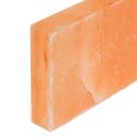 VidaXL Kamienie Solne 20 pcs różowy 20 x 2,5 x 10 cm Sól kamienna