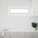 VidaXL Okno piwniczne RISOR 100 x 40 cm PVC i szkło Biały