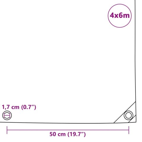 PLANDEKA PŁACHTA 650 G/M² 4X6M