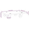 VidaXL Platformy transportowe 2 szt. prostokątne, 60x40x11,5 cm 250 kg