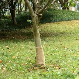 TKANINA JUTOWA W ROLCE 0,25X10M 100% JUTA 200 G/M²