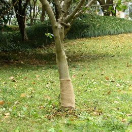 TKANINA JUTOWA W ROLCE 0,25X50M 100% JUTA 200 G/M²