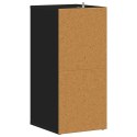 VidaXL Szafka na buty, czarna, 31,5x35x70 cm, materiał drewnopochodny