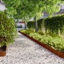 OBRZEŻA TRAWNIKOWE 50 SZT. 15X103CM GIĘTKIE STAL CORTEN