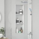 VidaXL Nisza prysznicowa Biały 90 x 30 x 9,5 cm Stal nierdzewna