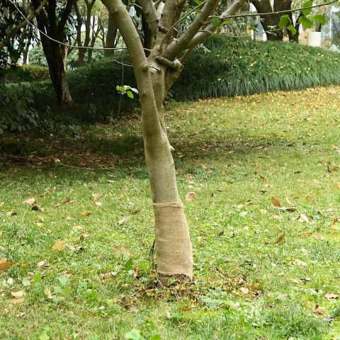 TKANINA JUTOWA W ROLCE 0,25X15M 100% JUTA 200 G/M²