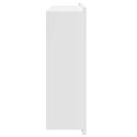VidaXL Nisza prysznicowa Biały 45 x 30 x 9,5 cm Stal nierdzewna