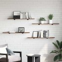 VidaXL Półka na książki 4 pcs Brązowy 100 x 20 x 1,5 cm