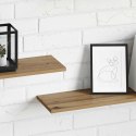VidaXL Półka na książki 4 pcs Brązowy 100 x 20 x 1,5 cm