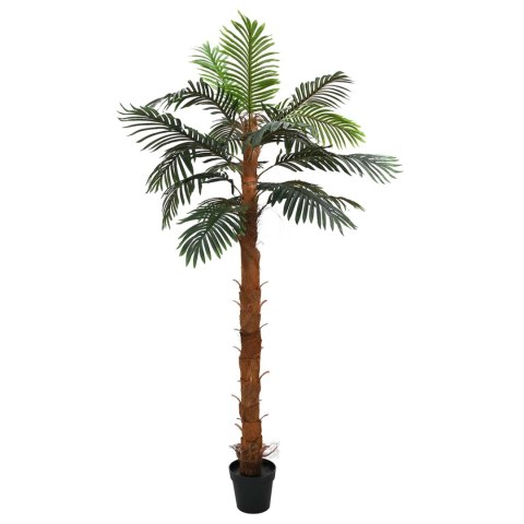 VidaXL Sztuczne drzewo kokosowe zielony 70 x 20 x 200 cm