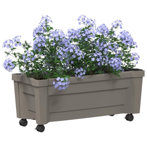 VidaXL Donica Calypso z kółkami Szary 79 x 35 x 33 cm PP