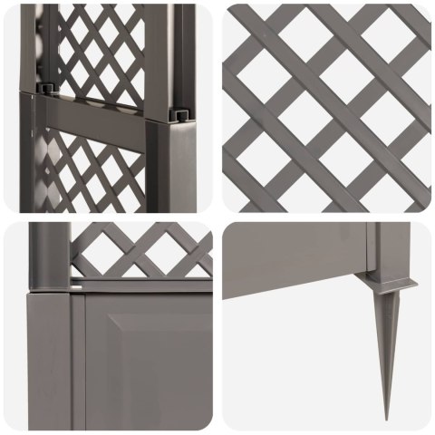 VidaXL Różany łuk z kolcami Szary 97 x 43 x 218 cm PP