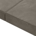 VidaXL Składana Sofa Łóżko 100 x 67 x 45 cm jasnoszary