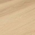 VidaXL Podłoga laminowana 5 pcs Jasny Klon 101 x 20 x 0,8 cm