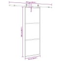 VidaXL Drzwi przesuwne z zestawem okuć czarne 76x205cm szkło hartowane