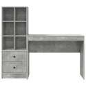 VidaXL Biurko z szufladą z półką 2 pcs Betonowy szary