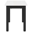 VidaXL Stolik kawowy Biały 60 x 30 x 36 cm Lite drewno sosnowe
