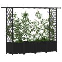 VidaXL Podniesione łóżko z kratką i dachem Czarny 203 x 40 x 138 cm PP