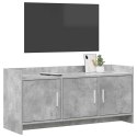 VidaXL Szafka pod telewizor 102 x 33 x 47 cm Betonowy szary