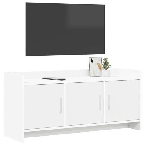 VidaXL Szafka pod telewizor 102 x 33 x 47 cm Biały Drewno inżynieryjne