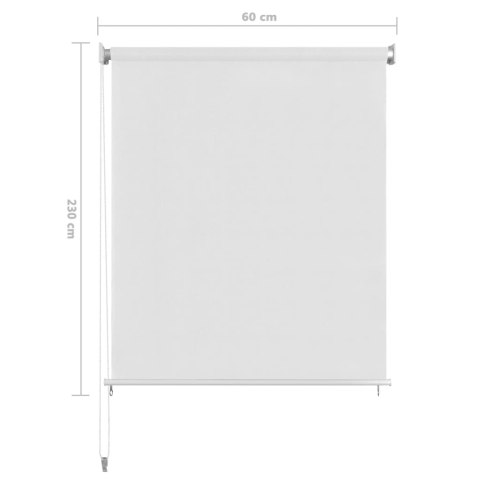 VidaXL Roleta zewnętrzna, biała, 60x230 cm, HDPE
