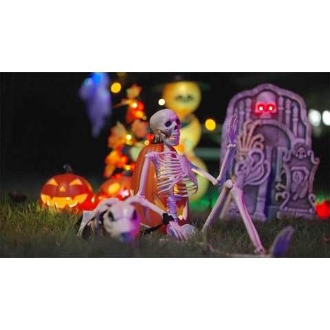 DEKORACJA HALLOWEEN SZKIELET Z PSEM 2 SZT. BIAŁY 155CM