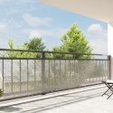VidaXL Plandeka przezroczysty 6 x 1,5 m PE
