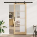 DRZWI PRZESUWNE NATURALNY 93X232CM