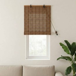 VidaXL Roleta brązowy 70 x 160 cm Bambus