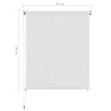 VidaXL Roleta zewnętrzna, biała, 60x140 cm, HDPE