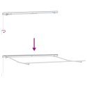 MARKIZA WYSUWANA CIEMNOSZARY 450 × 350CM POLIESTER I ALUMINIUM