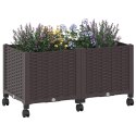 VidaXL Donica ogrodowa na kółkach brązowy 80 x 40 x 44 cm PP