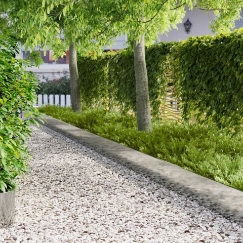 VidaXL Krawężnik do trawnika 10 pcs 103 x 30 cm Stal srebrny