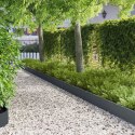 KRAWĘŻNIK DO TRAWNIKA 30 PCS 103X20CM STAL ANTRACYTOWY