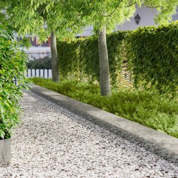 VidaXL Krawężnik do trawnika 10 pcs 103 x 30 cm Stal srebrny