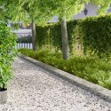 VidaXL Krawężnik do trawnika 20 pcs 100 x 25 cm Stal srebrny
