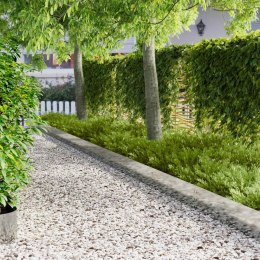 VidaXL Krawężnik do trawnika 20 pcs 100 x 25 cm Stal srebrny