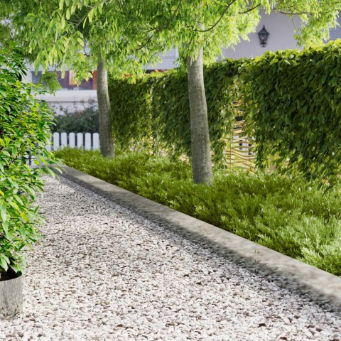 VidaXL Krawężnik do trawnika 20 pcs 100 x 25 cm Stal srebrny