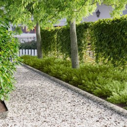 VidaXL Krawężnik do trawnika 30 pcs 100 x 15 cm Stal srebrny