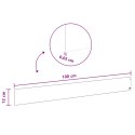 KRAWĘŻNIK DO TRAWNIKA 10 PCS 100X12CM STAL ANTRACYTOWY