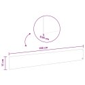 KRAWĘŻNIK DO TRAWNIKA 10 PCS 100X15CM STAL ANTRACYTOWY