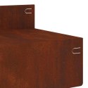 KRAWĘŻNIK DO TRAWNIKA 20 PCS 100X10X8CM STAL RDZAWY