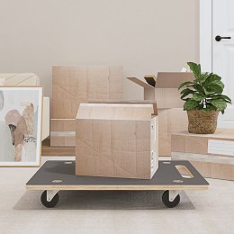 PLATFORMY TRANSPORTOWE 2 SZT. PROSTOKĄTNE 80X55X11,5CM 250 KG