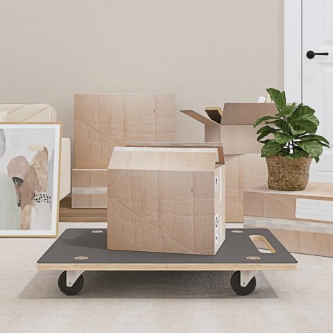 PLATFORMY TRANSPORTOWE 2 SZT. PROSTOKĄTNE 80X55X11,5CM 250 KG