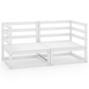 2-OSOBOWA SOFA OGRODOWA BIAŁA LITE DREWNO SOSNOWE