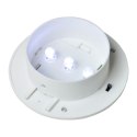 SOLARNE LAMPY OGRODZENIOWE LED 12 SZT. BIAŁE